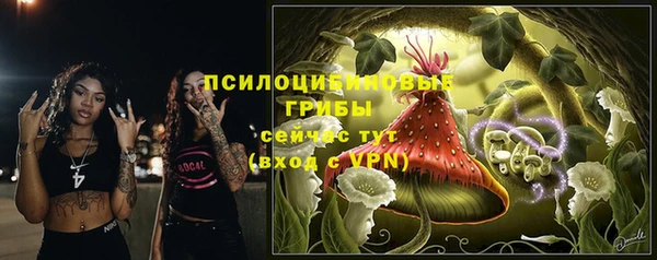 крисы Беломорск