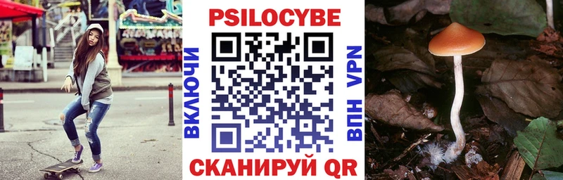 наркота  даркнет формула  Псилоцибиновые грибы Psilocybe  Благодарный 